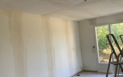 Peinture intérieure, Rénovation WC et salle de bains 91 Chilly Mazarin